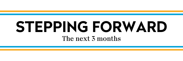 Folio Quarterly Newsletter Sub-header - Stepping Forward